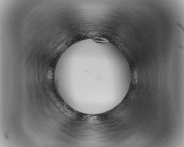 X0000099520472200806051215