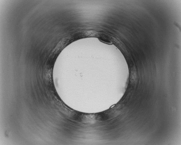 X0000099520473200806051215