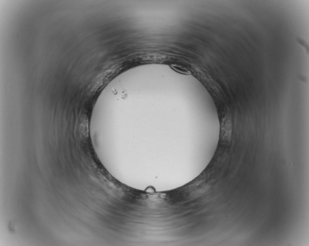 X0000099520474200806051215