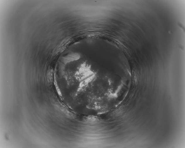 X0000099520475200806051215