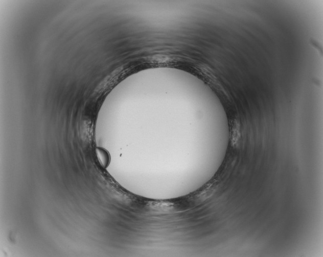 X0000099520476200806051215