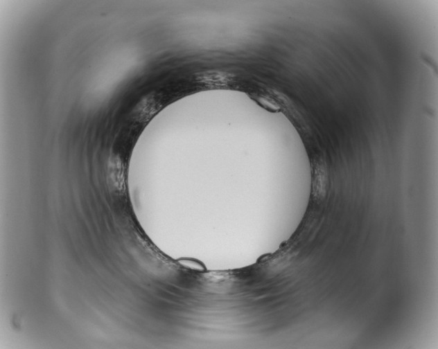 X0000099520477200806051215