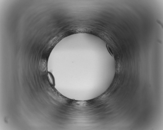 X0000099520478200806051215