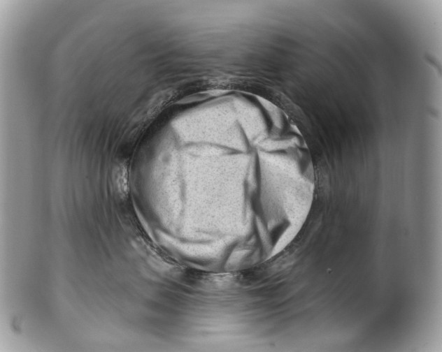 X0000099520479200806051215