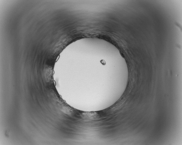 X0000099520480200806051215