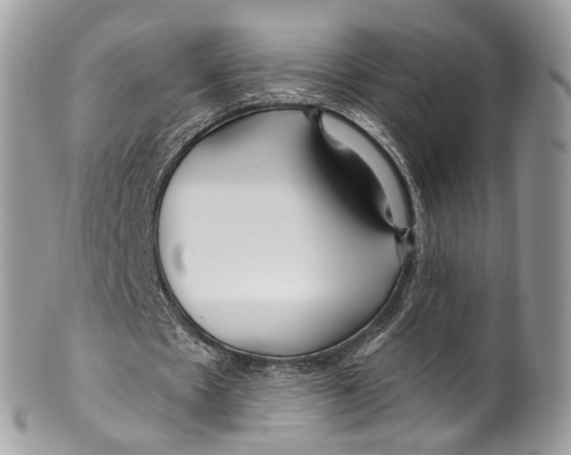 X0000099520481200806051215