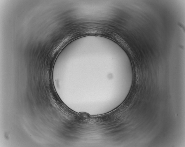 X0000099520482200806051215