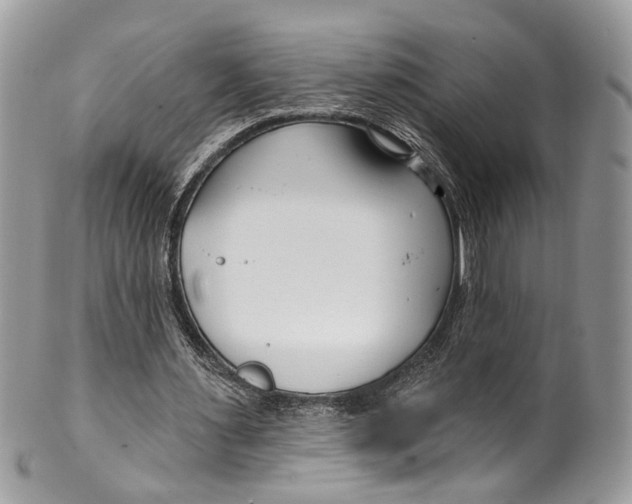 X0000099520483200806051215