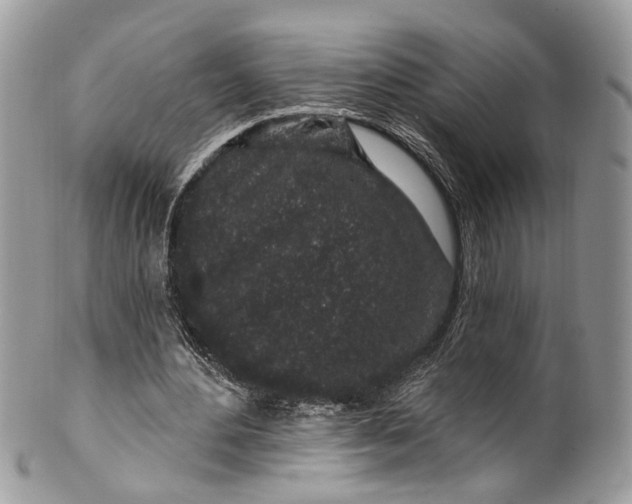 X0000099520484200806051215