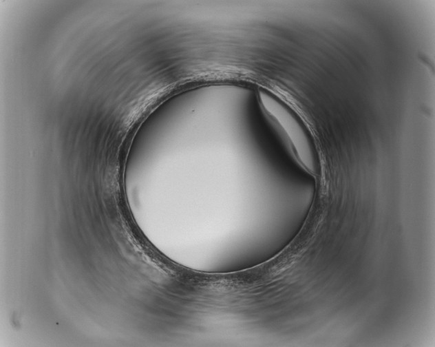 X0000099520485200806051215