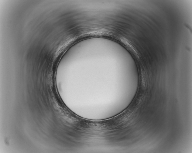 X0000099520486200806051215