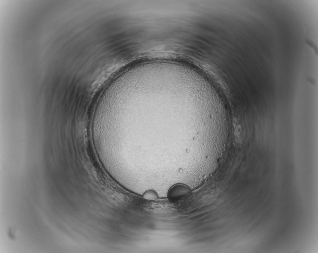 X0000099520487200806051215