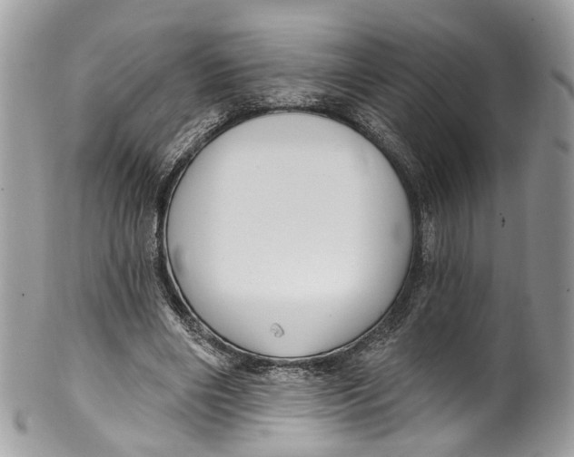 X0000099520490200806051215