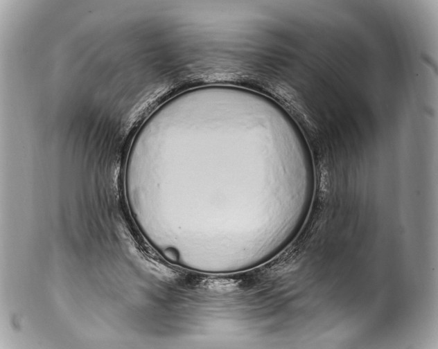 X0000099520491200806051215