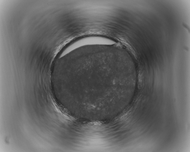 X0000099520492200806051215