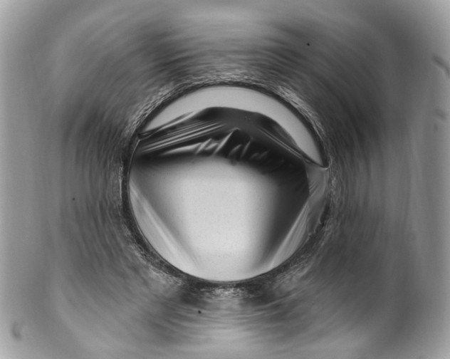 X0000099520493200806051215