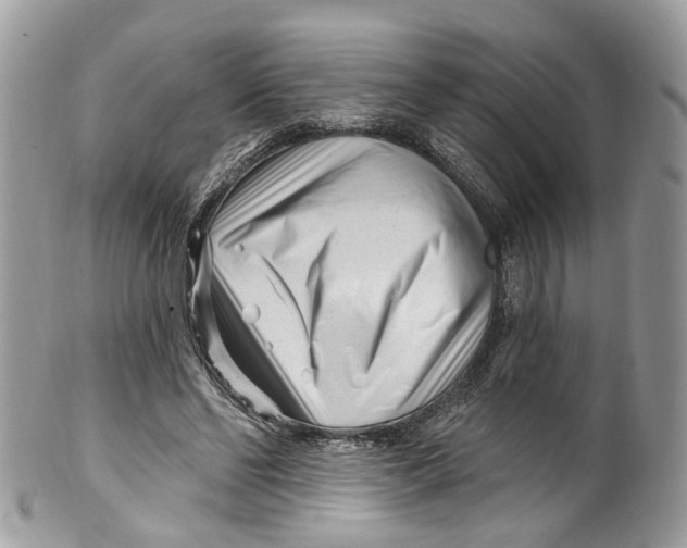 X0000099520494200806051215