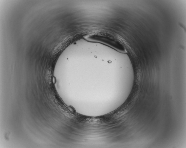 X0000099520497200806051214