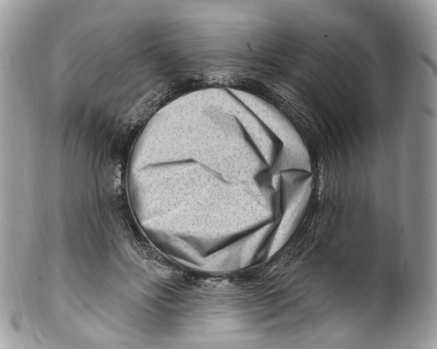 X0000099520502200806051214