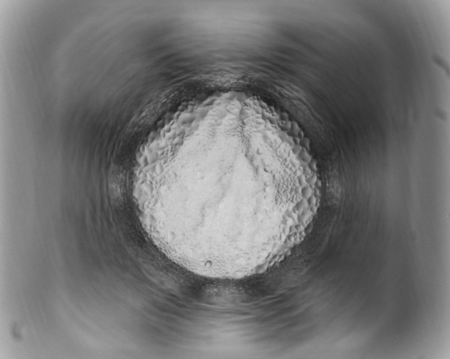 X0000099520503200806051214