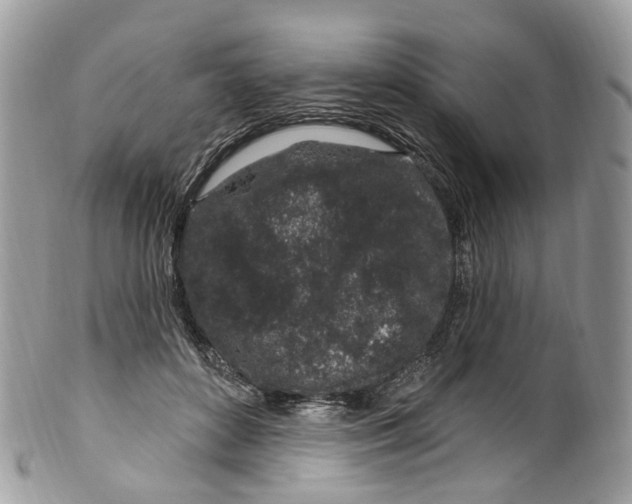 X0000099520504200806051214