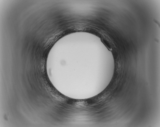 X0000099520505200806051214