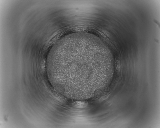 X0000099520507200806051214