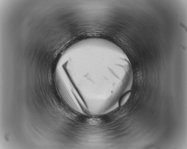 X0000099520508200806051214