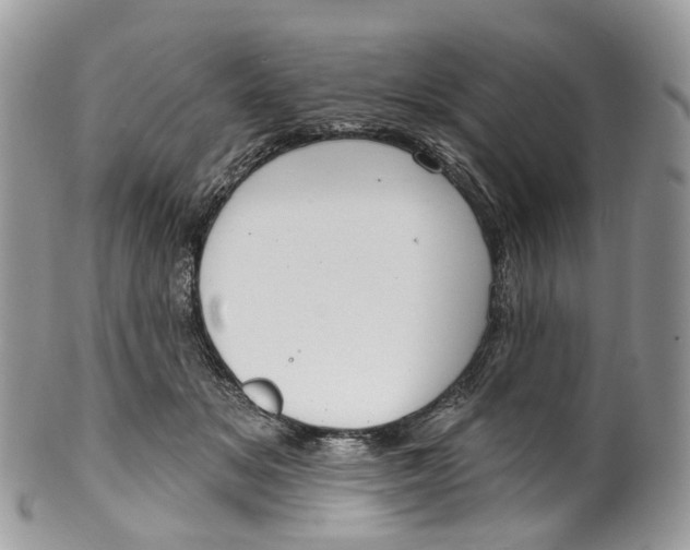 X0000099520509200806051214