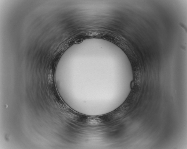 X0000099520510200806051214