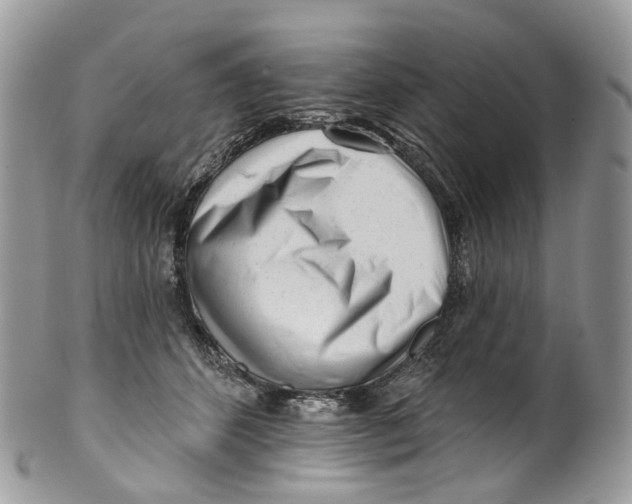 X0000099520512200806051214