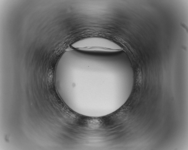 X0000099520513200806051214