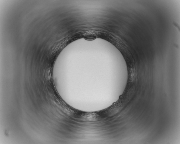 X0000099520514200806051214