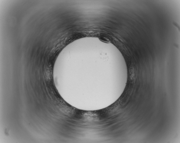 X0000099520515200806051214