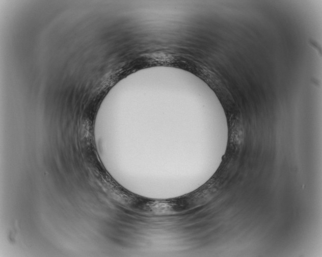 X0000099520518200806051214