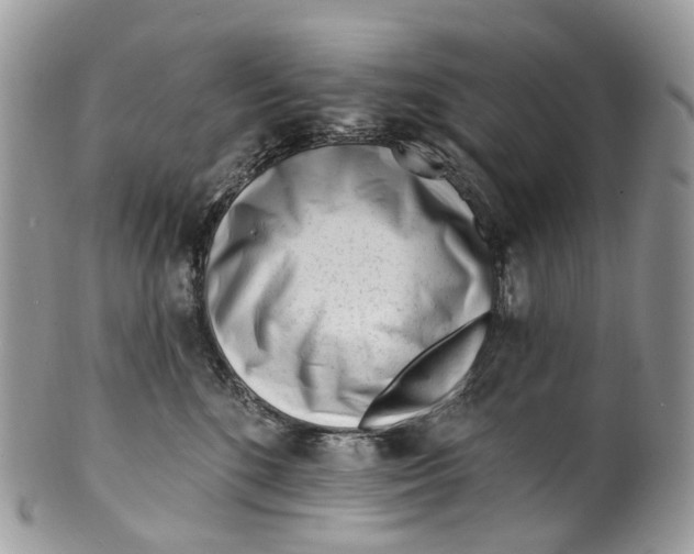 X0000099520520200806051214