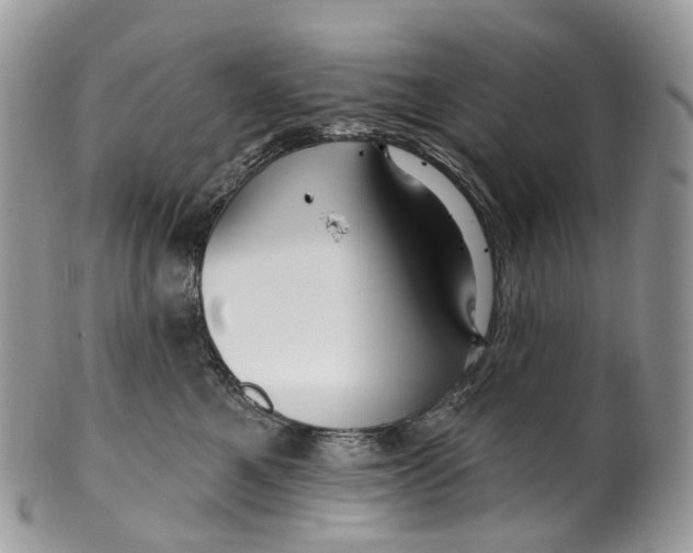 X0000099520521200806051214