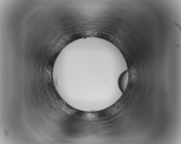 X0000099520522200806051214