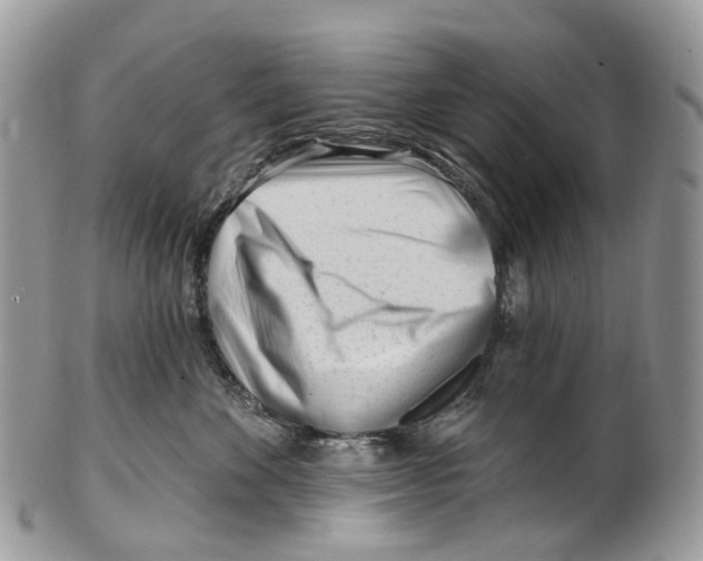 X0000099520524200806051214