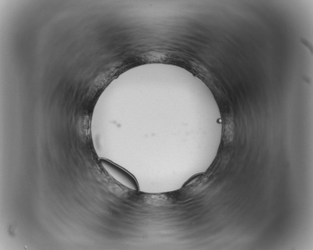 X0000099520525200806051214