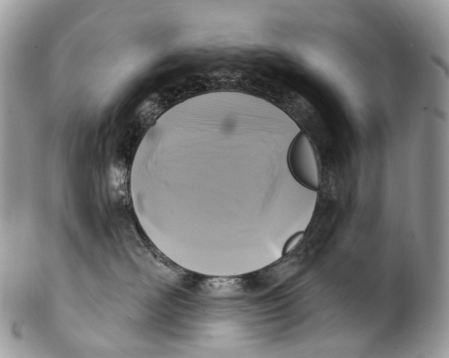 X0000099520526200806051214