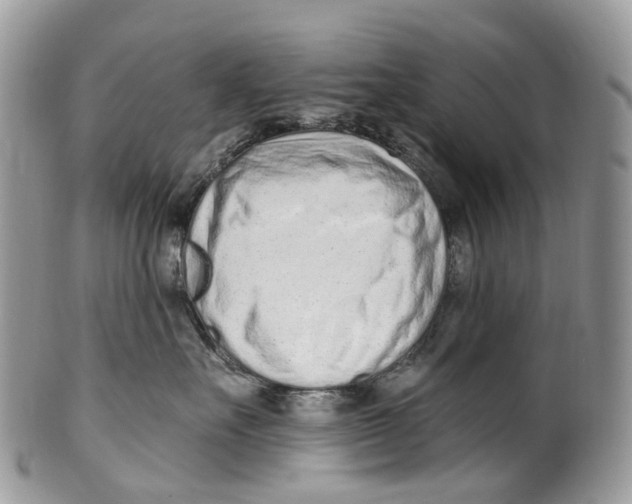 X0000099520527200806051214