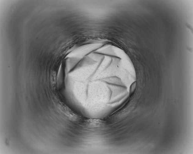 X0000099520528200806051214