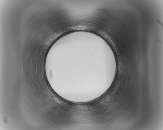 X0000099520529200806051213