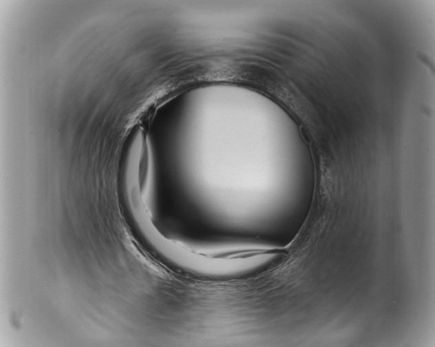 X0000099520530200806051213