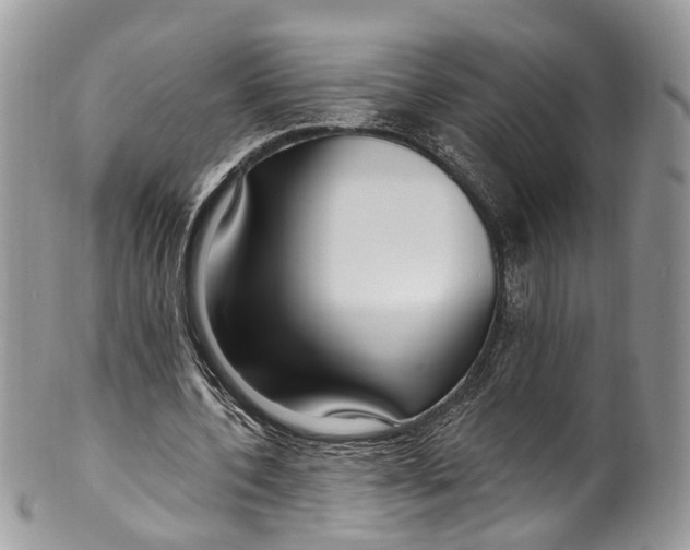 X0000099520532200806051213