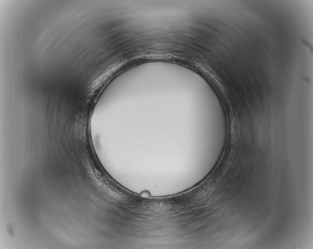 X0000099520533200806051213