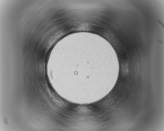 X0000099520534200806051213