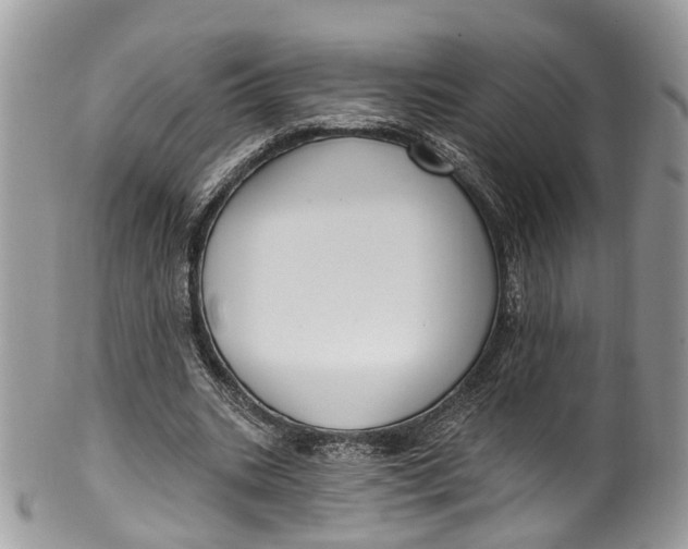 X0000099520535200806051213