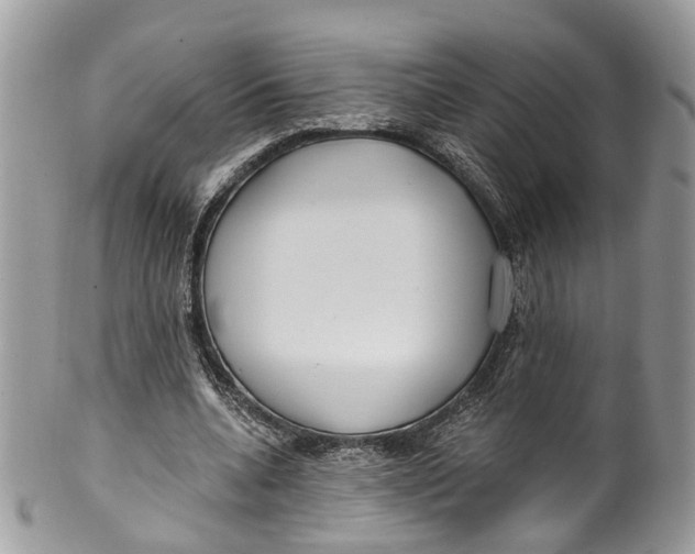 X0000099520536200806051213